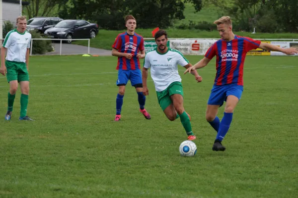 21.08.2016 TSV Hermsdorf/B. vs. Meeraner SV