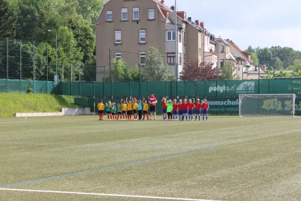 10.06.2017 VfL 05 Hohenstein-E. II vs. Meeraner SV II