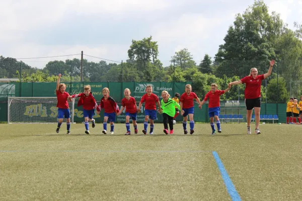 10.06.2017 VfL 05 Hohenstein-E. II vs. Meeraner SV II