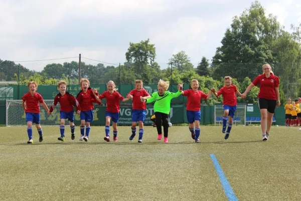 10.06.2017 VfL 05 Hohenstein-E. II vs. Meeraner SV II