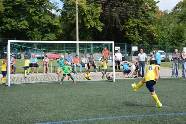 20.08.2016 Meeraner SV vs. Traktor Neukirchen