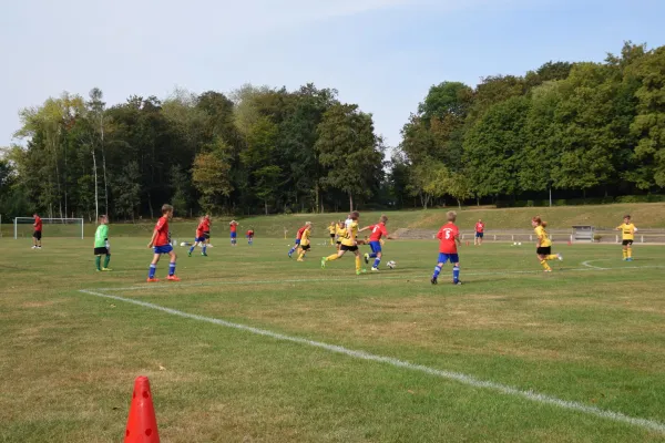 03.09.2016 Meeraner SV vs. SV Lok Glauchau/N.