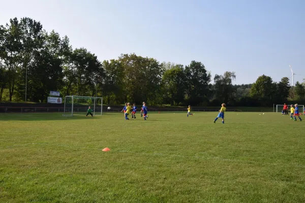 24.09.2016 Meeraner SV vs. SV Waldenburg 1844