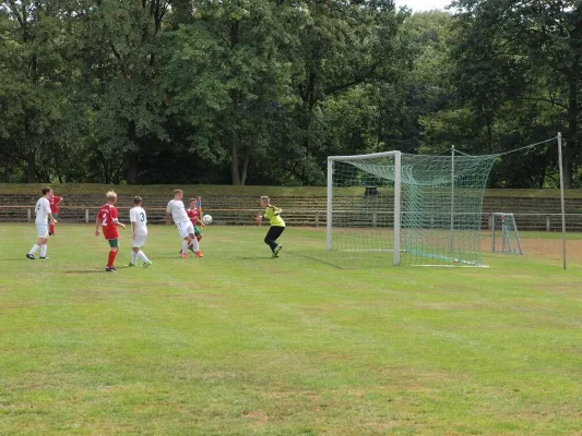 20.08.2016 Meeraner SV vs. FSV Limbach-O.