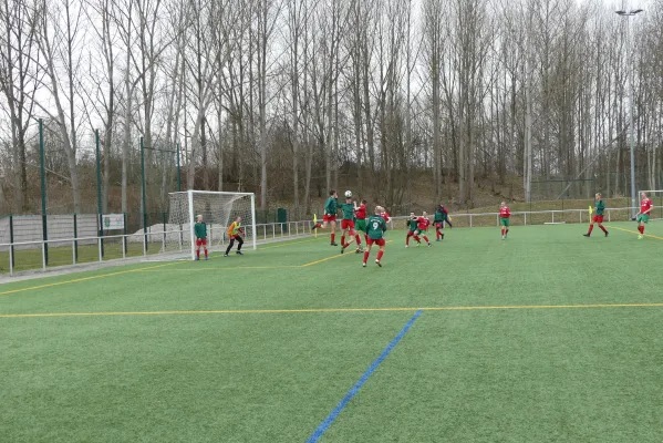 11.03.2017 FSV Limbach-O. vs. Meeraner SV