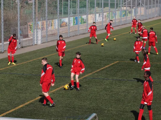 26.03.2017 Traktor Neukirchen vs. Meeraner SV