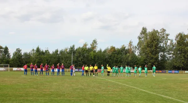 04.09.2016 SV Hartenstein Zsch. vs. Meeraner SV