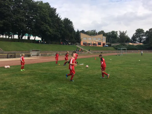 02.09.2017 Meeraner SV vs. Wilkau-Haßlau