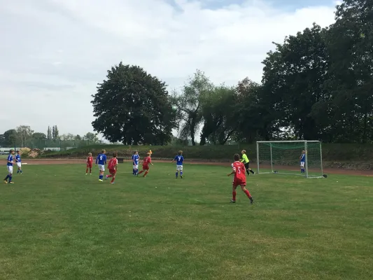 02.09.2017 Meeraner SV vs. Wilkau-Haßlau