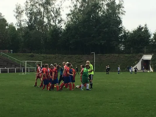 09.09.2017 Blau-Weiß Gersdorf vs. Meeraner SV