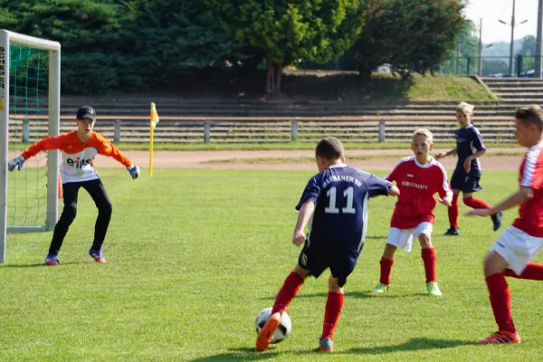 09.06.2018 Meeraner SV vs. VfL 05 Hohenstein-E.