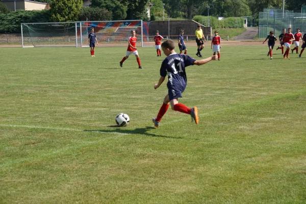 09.06.2018 Meeraner SV vs. VfL 05 Hohenstein-E.