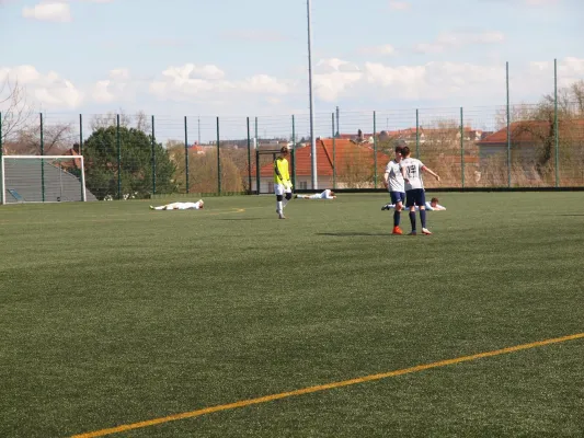 14.04.2018 Meeraner SV vs. ESV Lok Zwickau