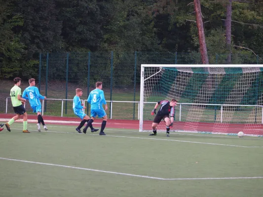 15.09.2018 Steinpleis-Werdau vs. Meeraner SV