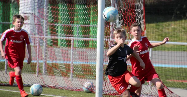 30.03.2019 FSV Zwickau III vs. Meeraner SV