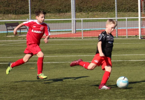 30.03.2019 FSV Zwickau III vs. Meeraner SV