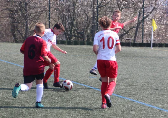 06.04.2019 Meeraner SV vs. SV Hartenstein Zsch.