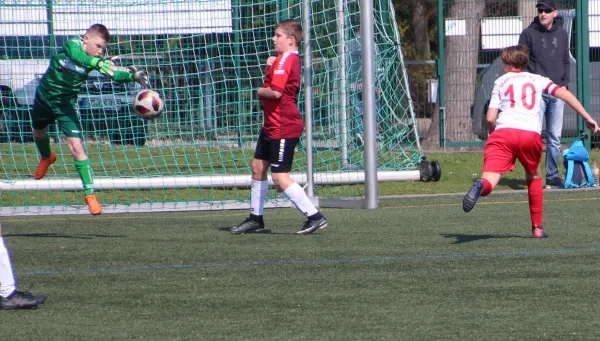 06.04.2019 Meeraner SV vs. SV Hartenstein Zsch.