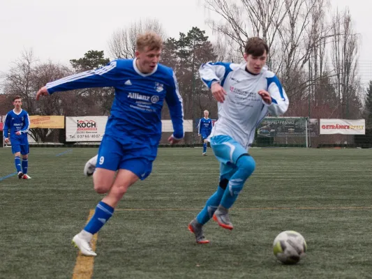 02.03.2019 Meeraner SV vs. VfB Empor Glauchau