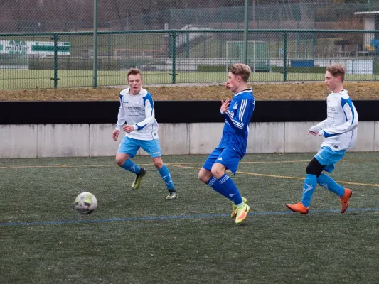 02.03.2019 Meeraner SV vs. VfB Empor Glauchau