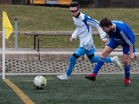 02.03.2019 Meeraner SV vs. VfB Empor Glauchau